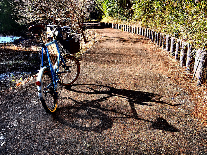 迷惑自転車、迷惑広告!!