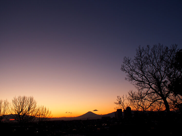写真115