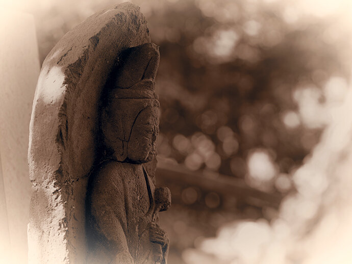 写真6