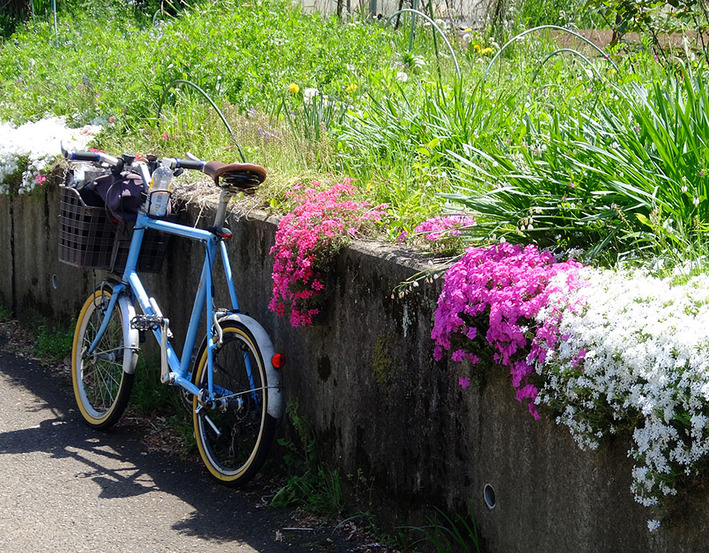 禁じ手!! 奥の手!? ねじロックを使うとき