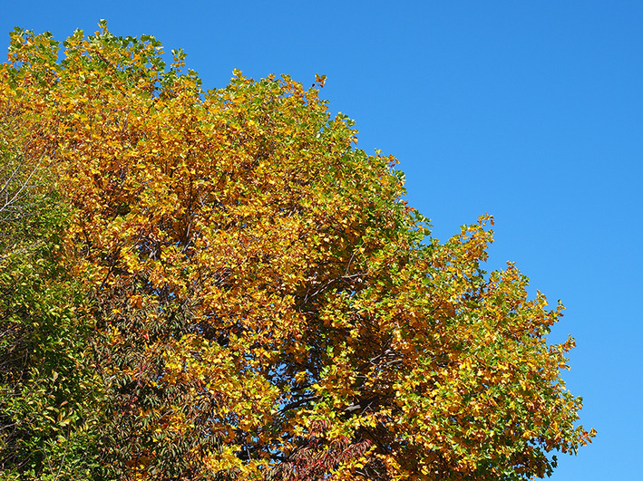 何事も世代交代は必要なんだよね
