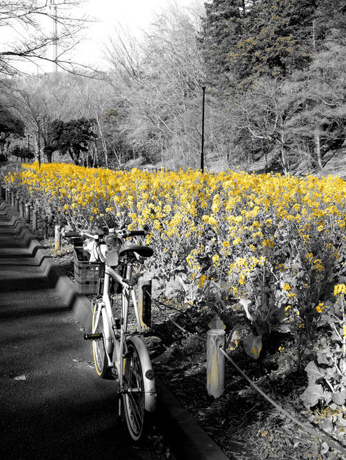 その自転車、無惨なり…