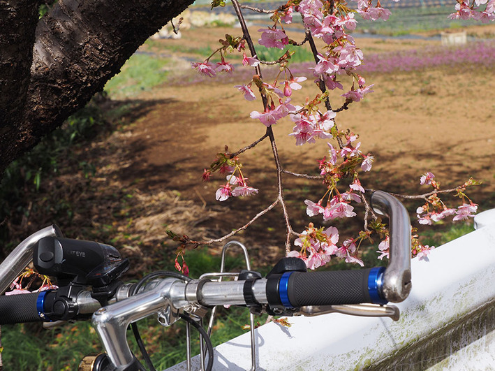 懐かしい風景求めて多摩丘陵サイクリング
