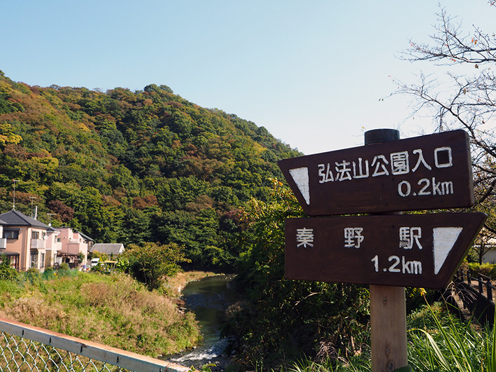 山歩き5