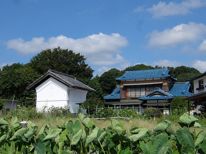 新手の電動アシストロードに抜かされた!?