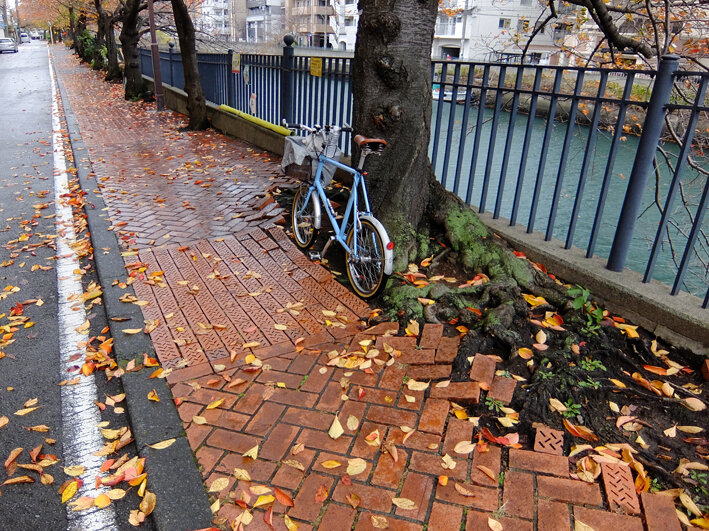 写真2