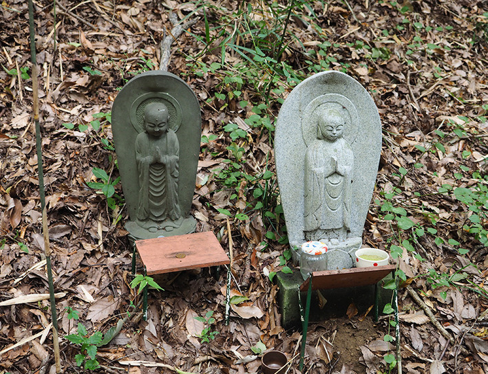 山歩き15
