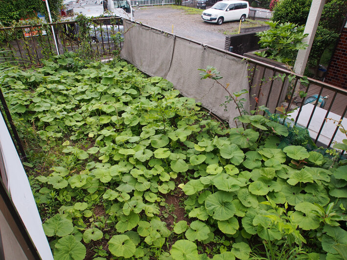 写真3