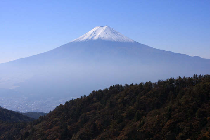 写真7