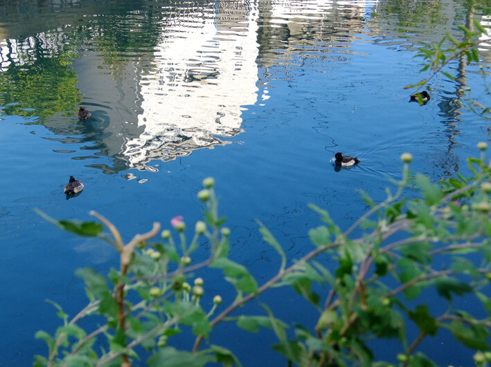 写真13