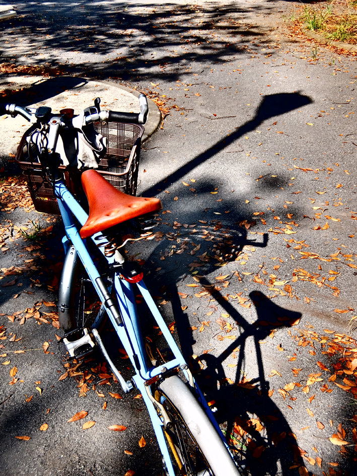 写真22