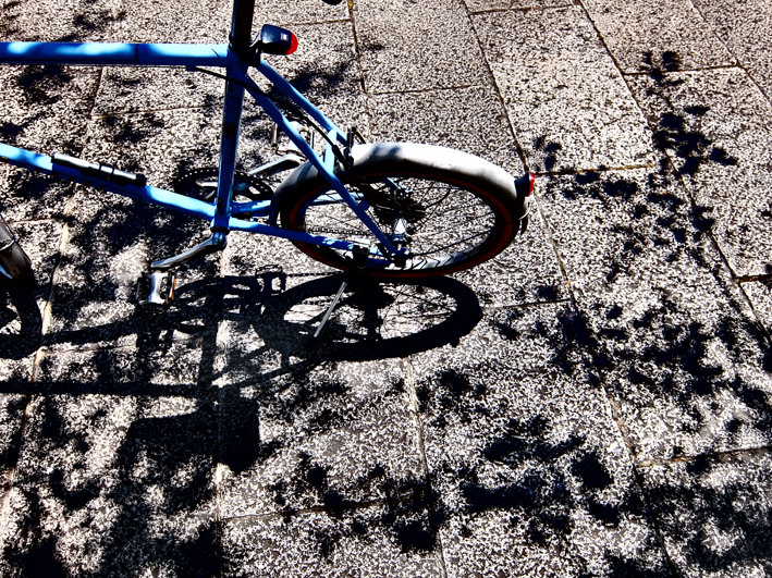 写真2