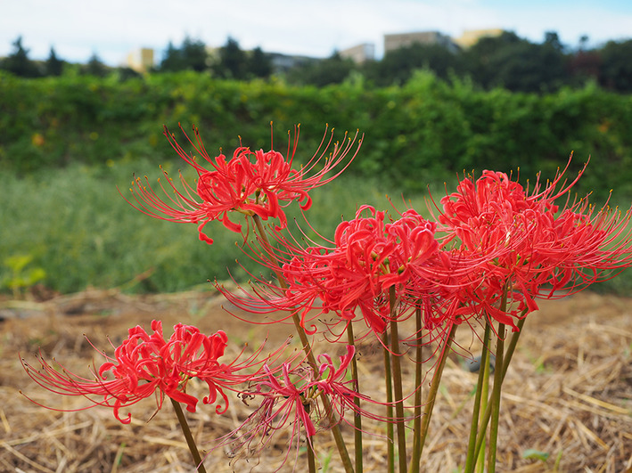 空気がガラリと入れ替わる　ヒンヤリ!!