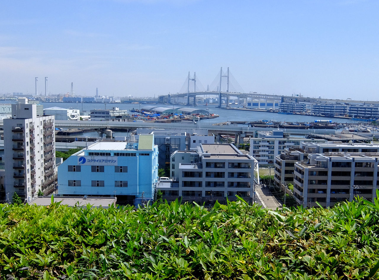 イメージ 8