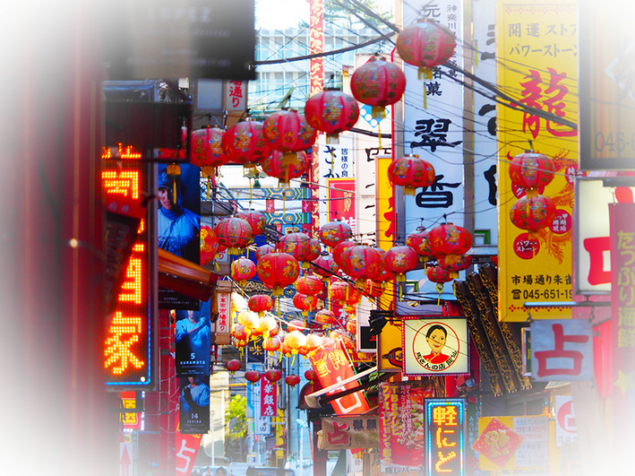 三浦6