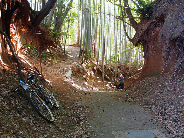 写真11