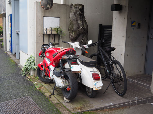 イメージ 12