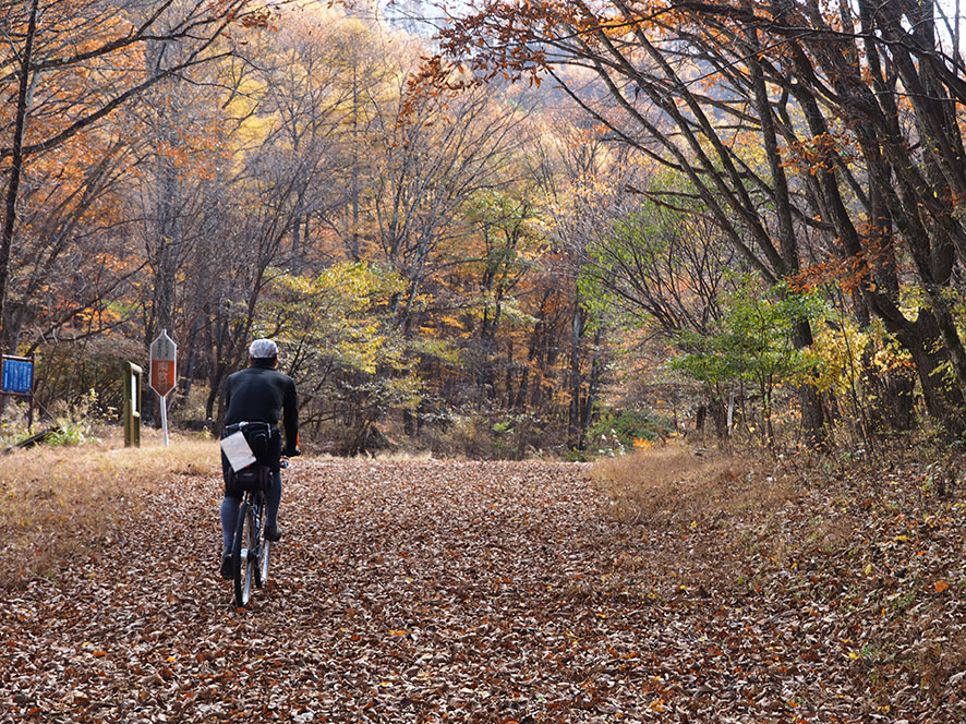 紅葉の西上州1日目 大上峠から十石峠へ : 旅からす本館 日本をもっと