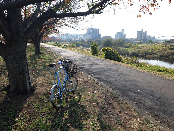 写真7
