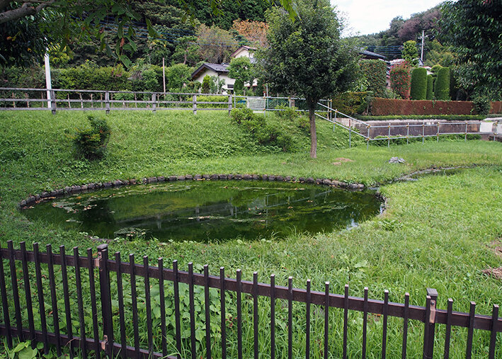 写真18