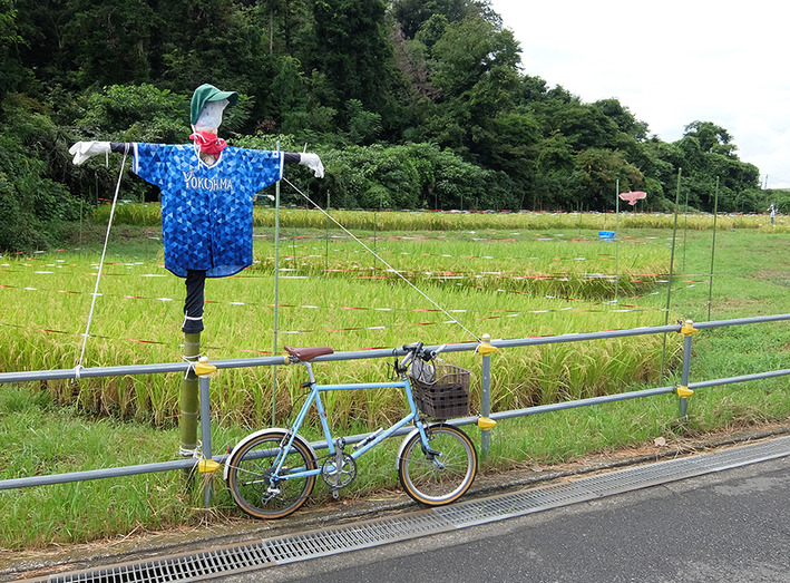 営業サイクリング　美味いラーメン屋巡り♪