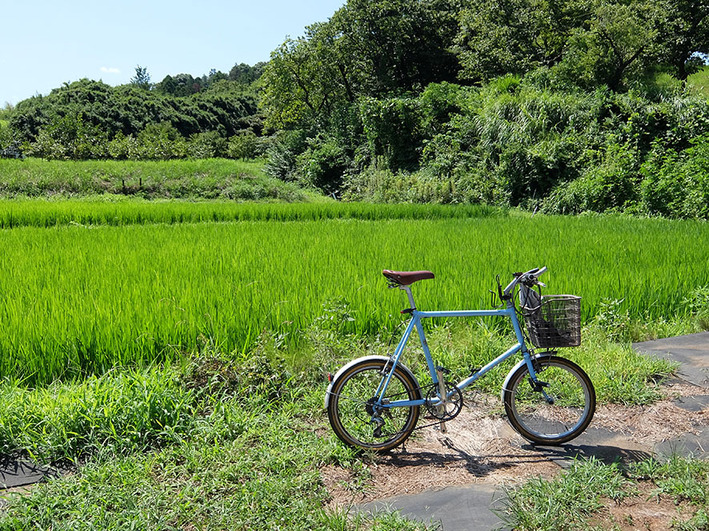 灼熱ポタ　自転車も壊れる!?