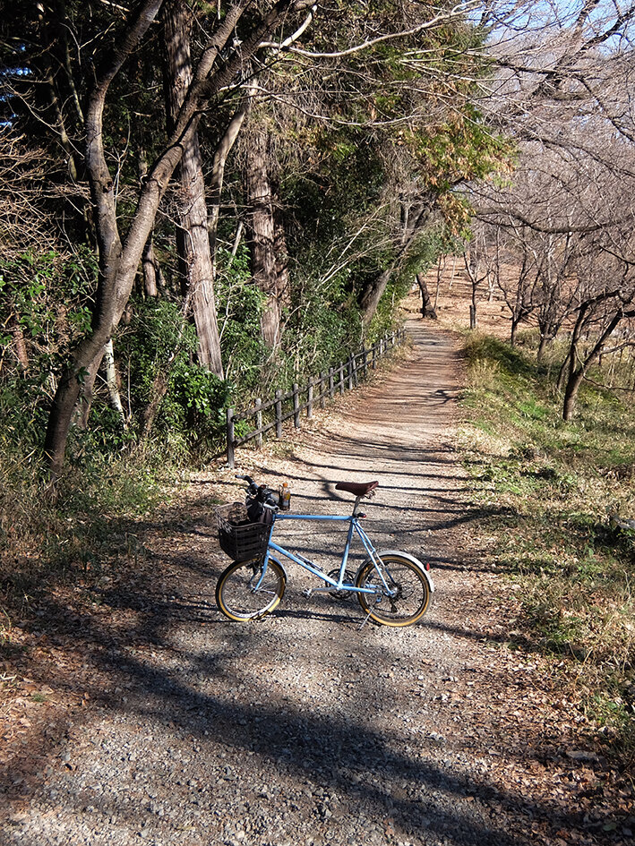 新年初走りは、林道・廃道サイクリング!!