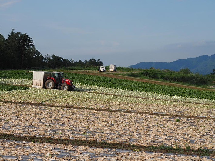 ノロノロ台風に翻弄!! キャンプツーリング中止