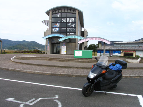 イメージ 7