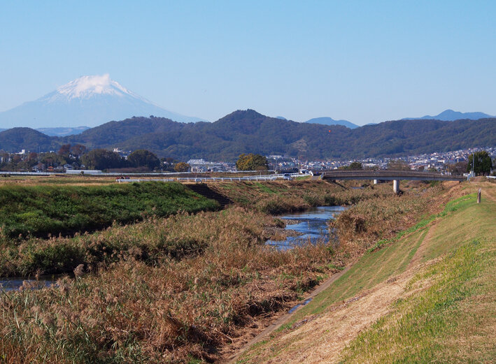 写真15