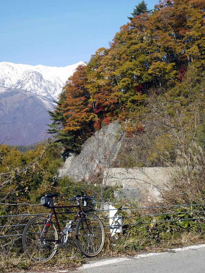 山サイ2