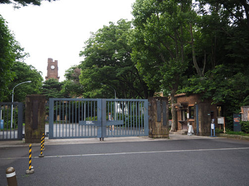 イメージ 11