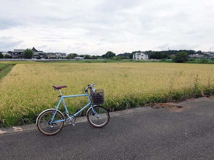川ポタ2