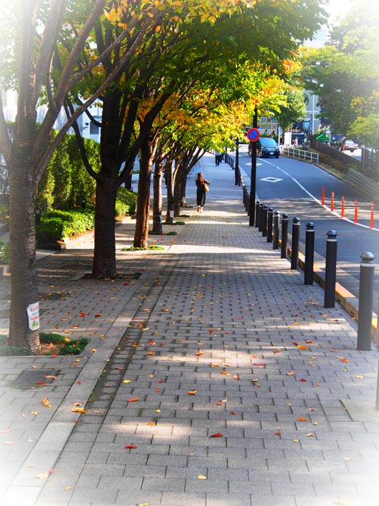 東京散歩/原宿・竹下通り～大久保・コリアタウン