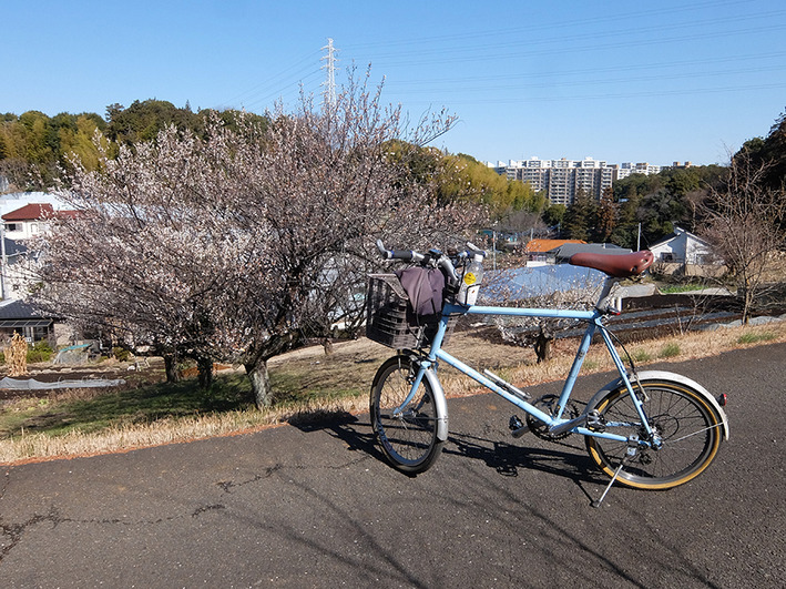 お買い物ポタリング　無駄遣いするな!?