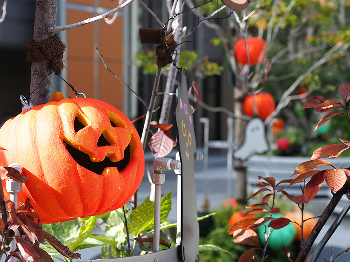 特撰富士そば　かき揚げトッピング♪