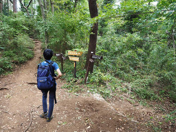山歩き13