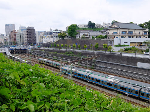 イメージ 6