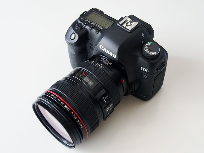 お散歩カメラ　生首発見!!