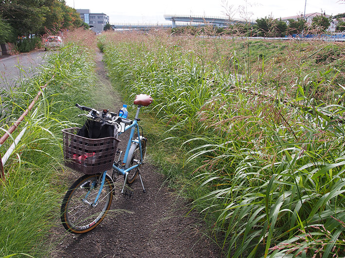 写真8