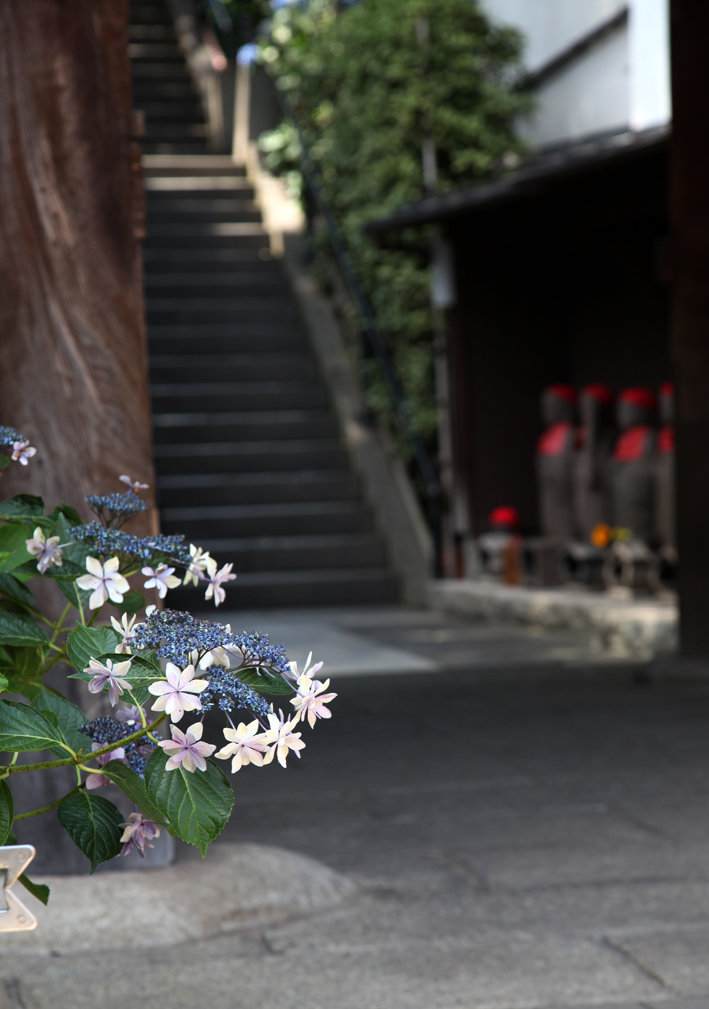 写真4