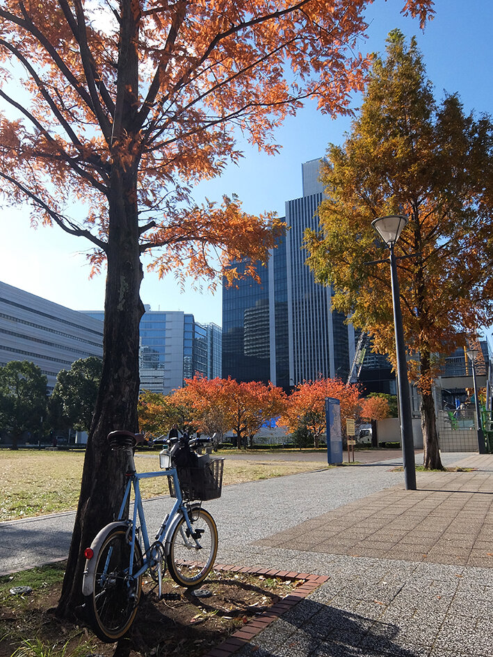 横浜の老舗ショップも閉店してた……