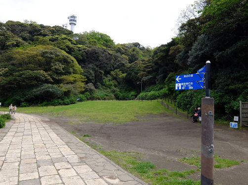 イメージ 11