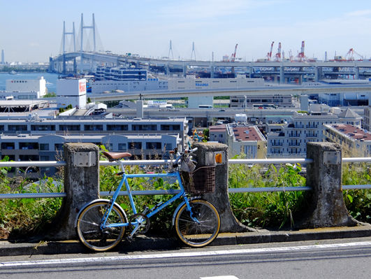 イメージ 1