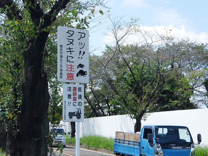 電動4