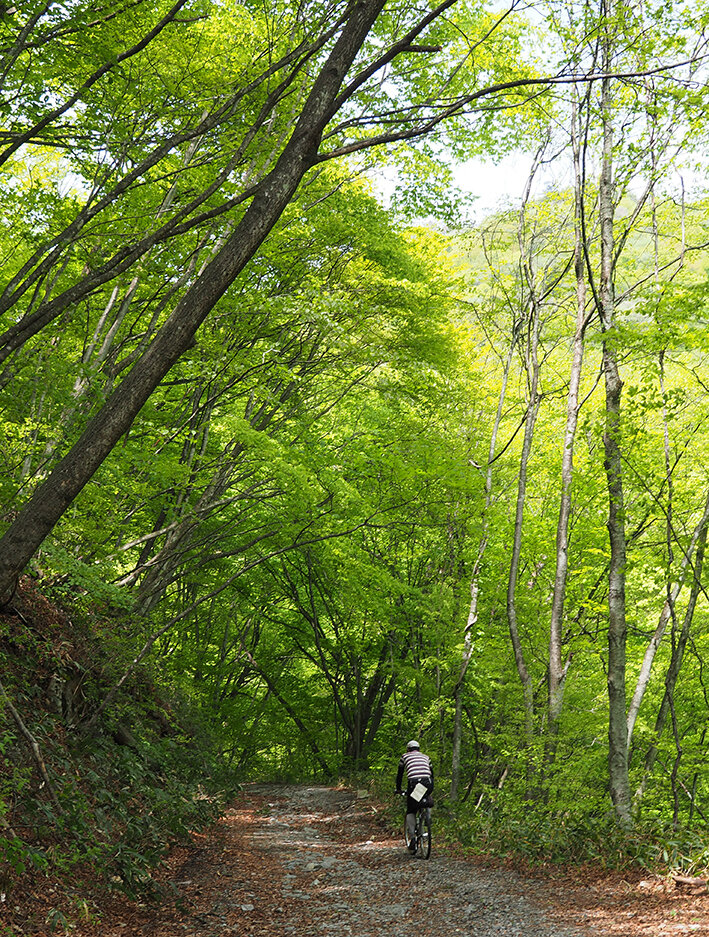 GW群馬遠征  新緑の万沢林道と吾妻線廃止跡  前編