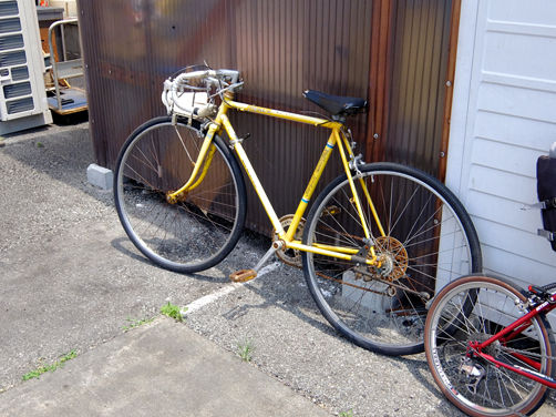 イメージ 14