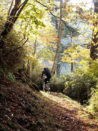 ロードブームに流されない。ニューサイクリングの世界観!!