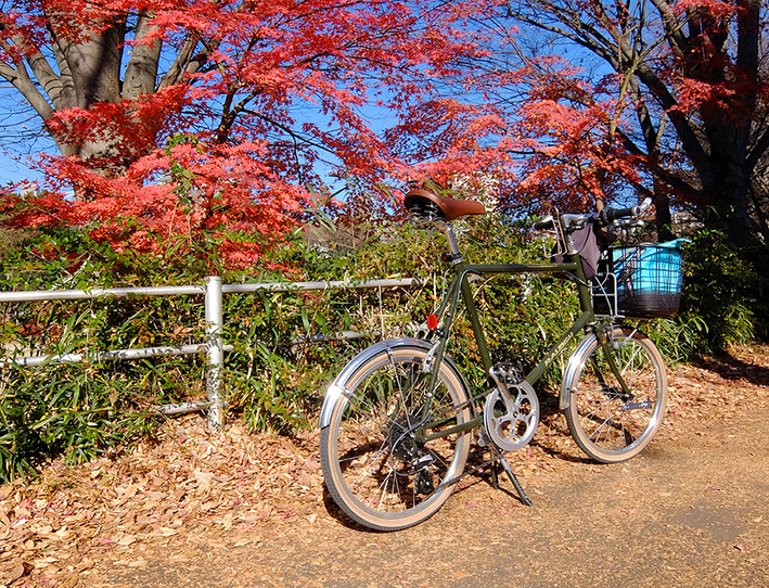 盗難自転車とど根性カマキリ!!