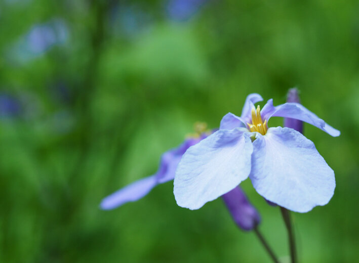 写真4